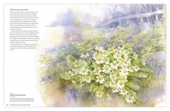 Цветочные акварели Венди Тейт. Как создавать воздушные и эффектные работы sela